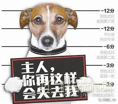 「2018年丹东开始养犬登记」如果宠物狗不这样做，可能会被强制收容