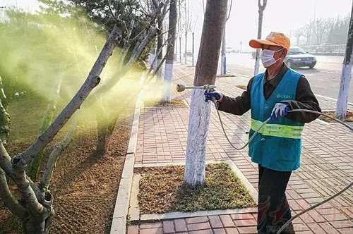 重要提醒！丹东人后天开始不要在树木附近停车，临街居民不要晾衣服！关上门窗