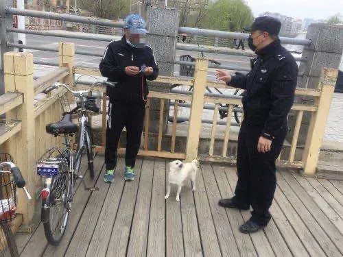 丹东元宝分局开展犬类整治行动